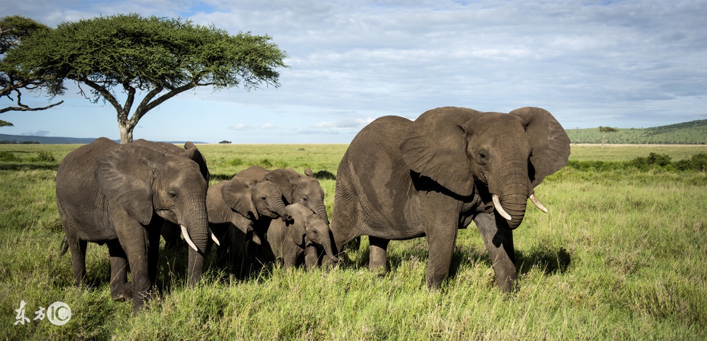 看图旅游,看图旅行