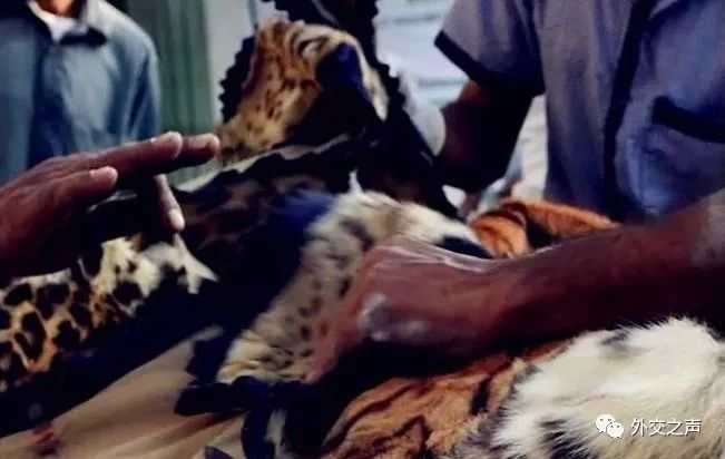 提醒驻菲律宾中国公民注意安全,驻菲律宾大使馆发布旅行安全提醒