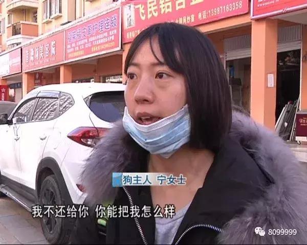 捡到狗不承认不归还犯法吗,捡到名贵犬只抱回家违法吗