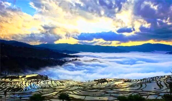 落地自驾云贵黄果树瀑布罗平油菜花元阳梯田西双版纳11日游