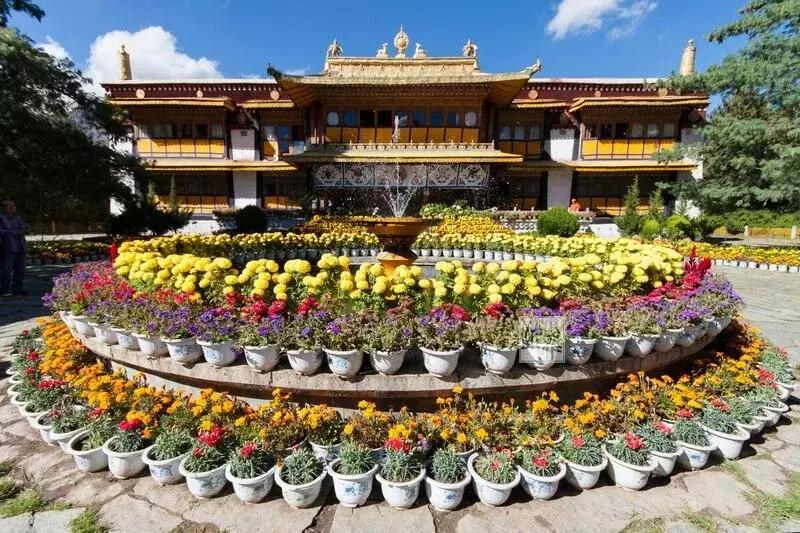 拉林高速最美段,公路的颜值