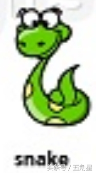 动物的英文单词都有哪些,动物英语单词13个