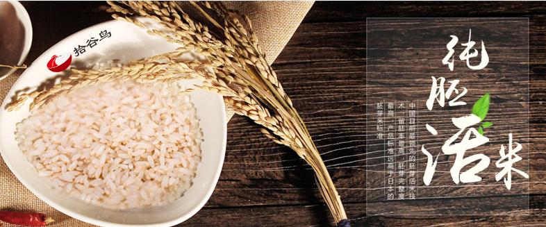 五谷杂粮是什么食物,五谷杂粮是什么粮食