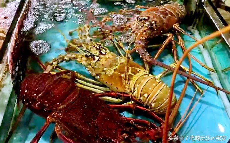 深圳螃蟹哪里买的最便宜,路林海鲜市场螃蟹