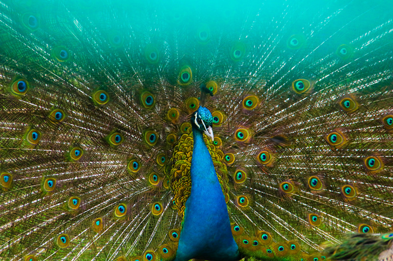 司徒小镇景区栖嬉园,山西司徒小镇栖嬉园