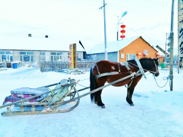 「新年目的地推荐一」金鸡之巅，边境梦雪，一路向北