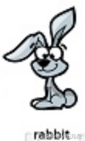 动物的英文单词都有哪些,动物英语单词13个