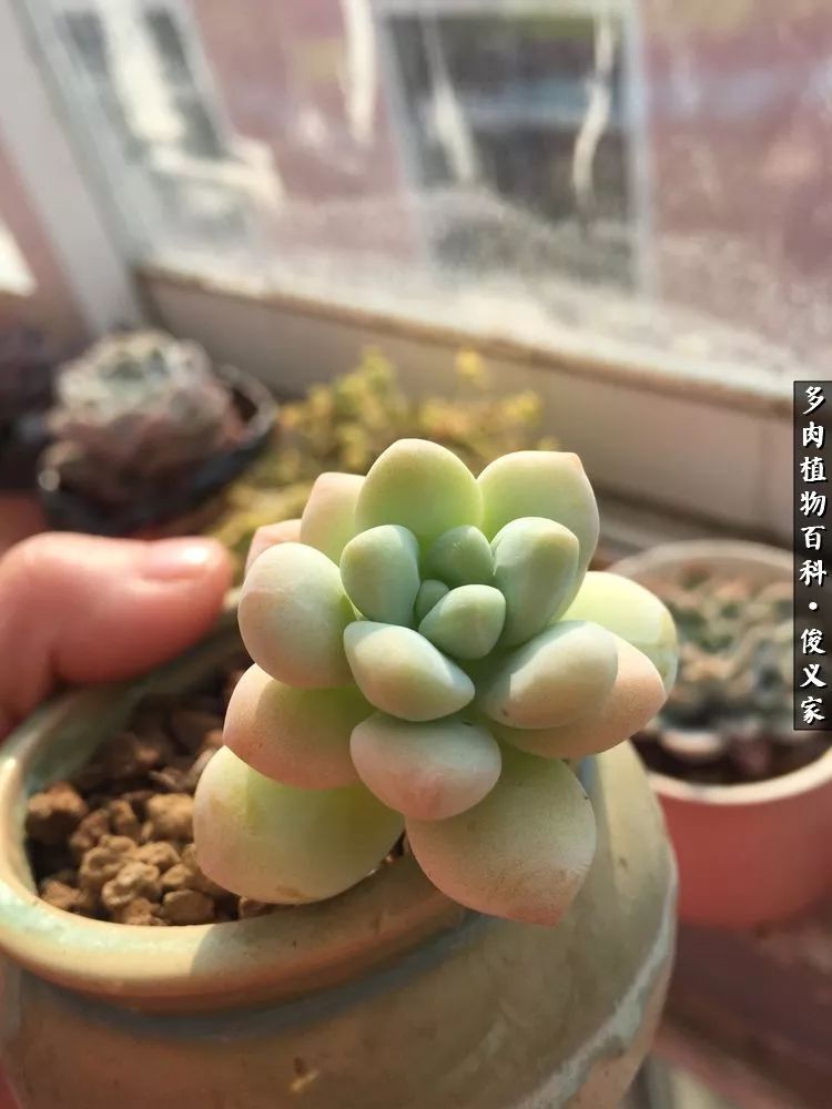 遇见你真是很幸运,遇见你真的很幸运下一句