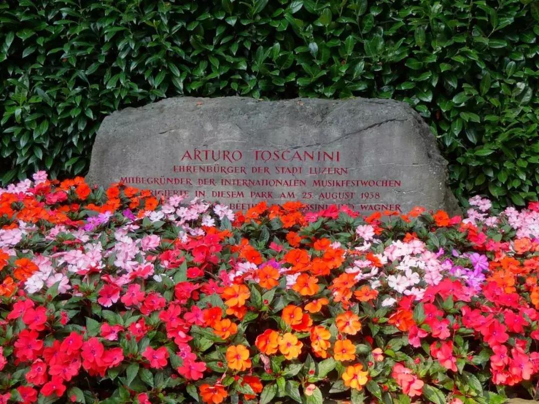 2009年琉森音乐节,藤田真央琉森音乐节