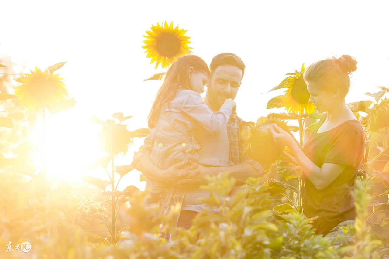 27了还很迷茫不知道干什么咋办,25岁了很迷茫不知道应该做什么