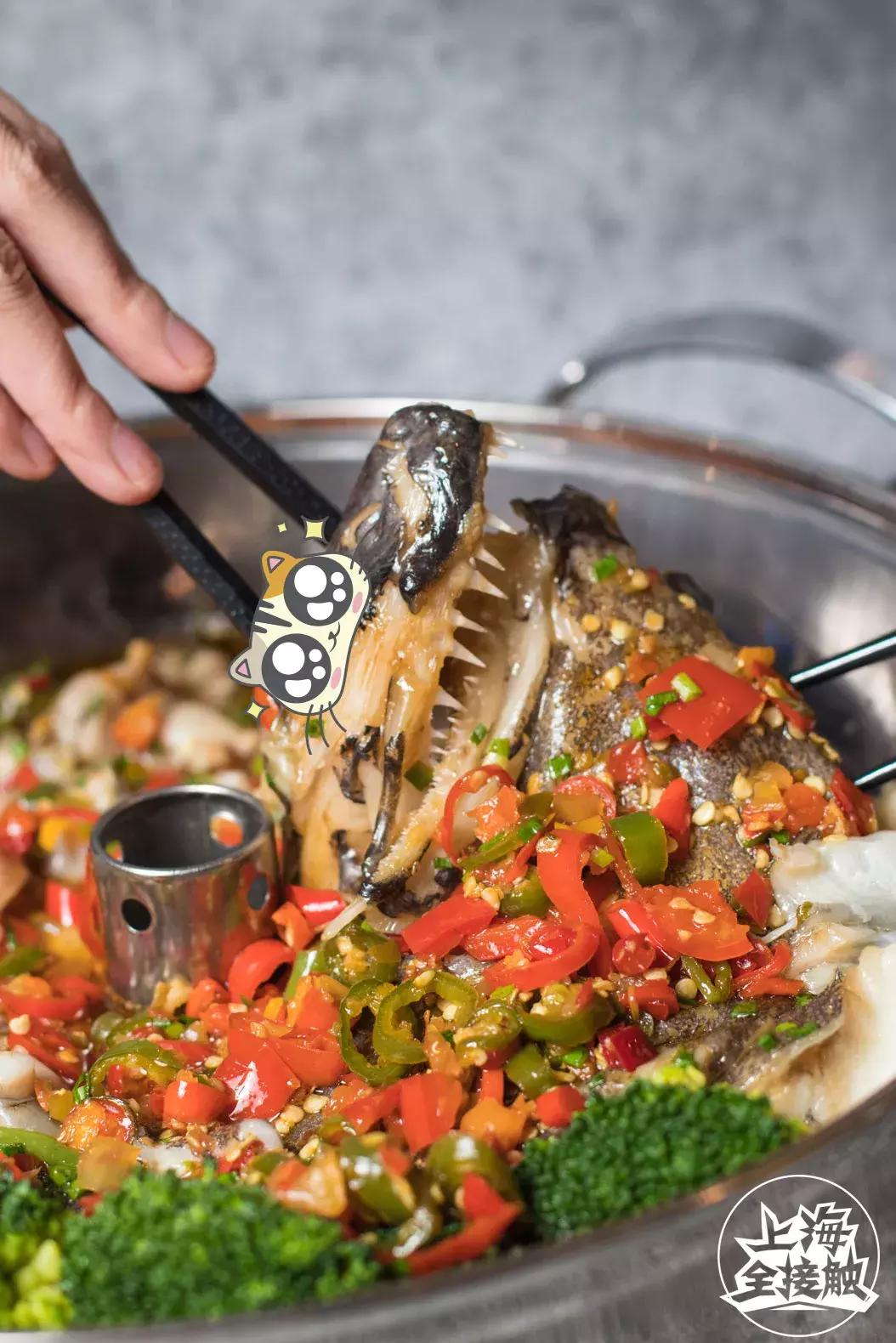 美蛙鱼头网红店浙江店,美蛙鱼头火锅网红店川味