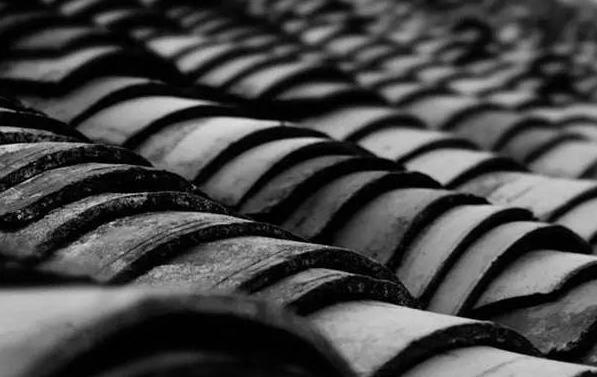 泥水养龟乌龟总是钻泥,龟友交流学习的一天