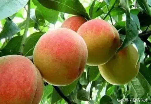 临沂景色有多美,临沂的独特风光