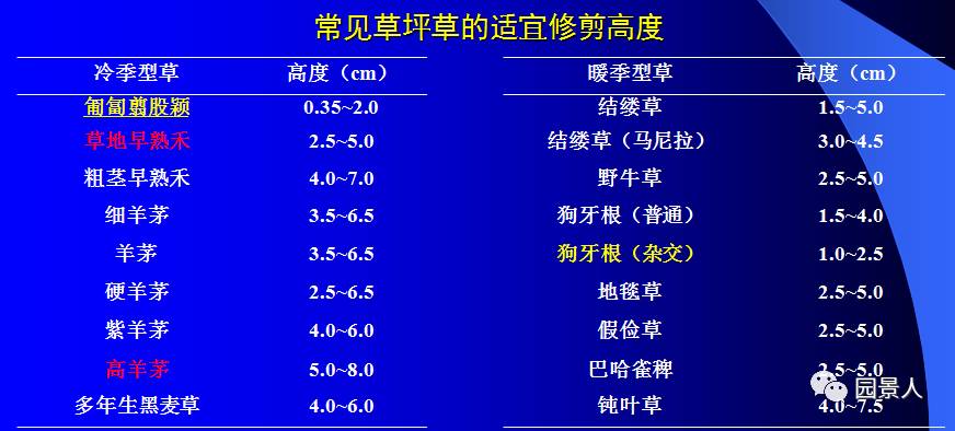优质人造草坪维护,济宁人造草坪维护