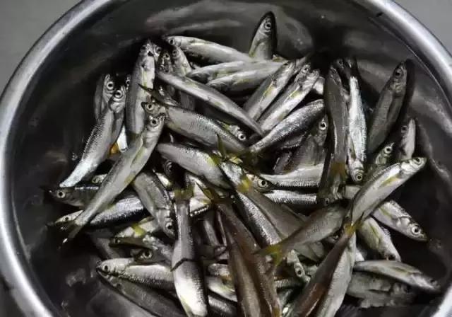 农村河里的这些小野味，你吃过吗？个个是绝品，超好吃！