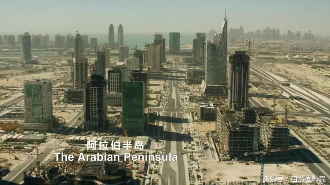 香港版教父完整版,教父英剧