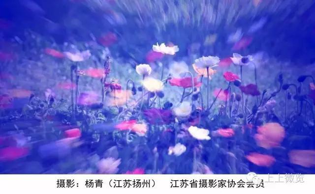 诗词荼蘼,荼蘼诗词