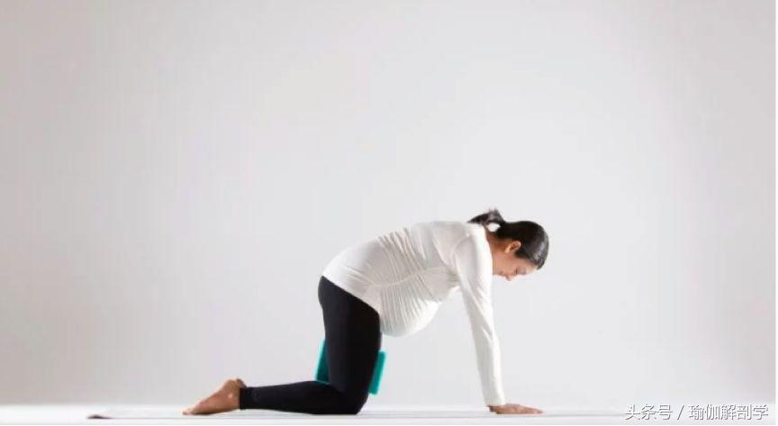 产后骨盆前倾瑜伽动作,缓解孕期骨盆痛的瑜伽动作