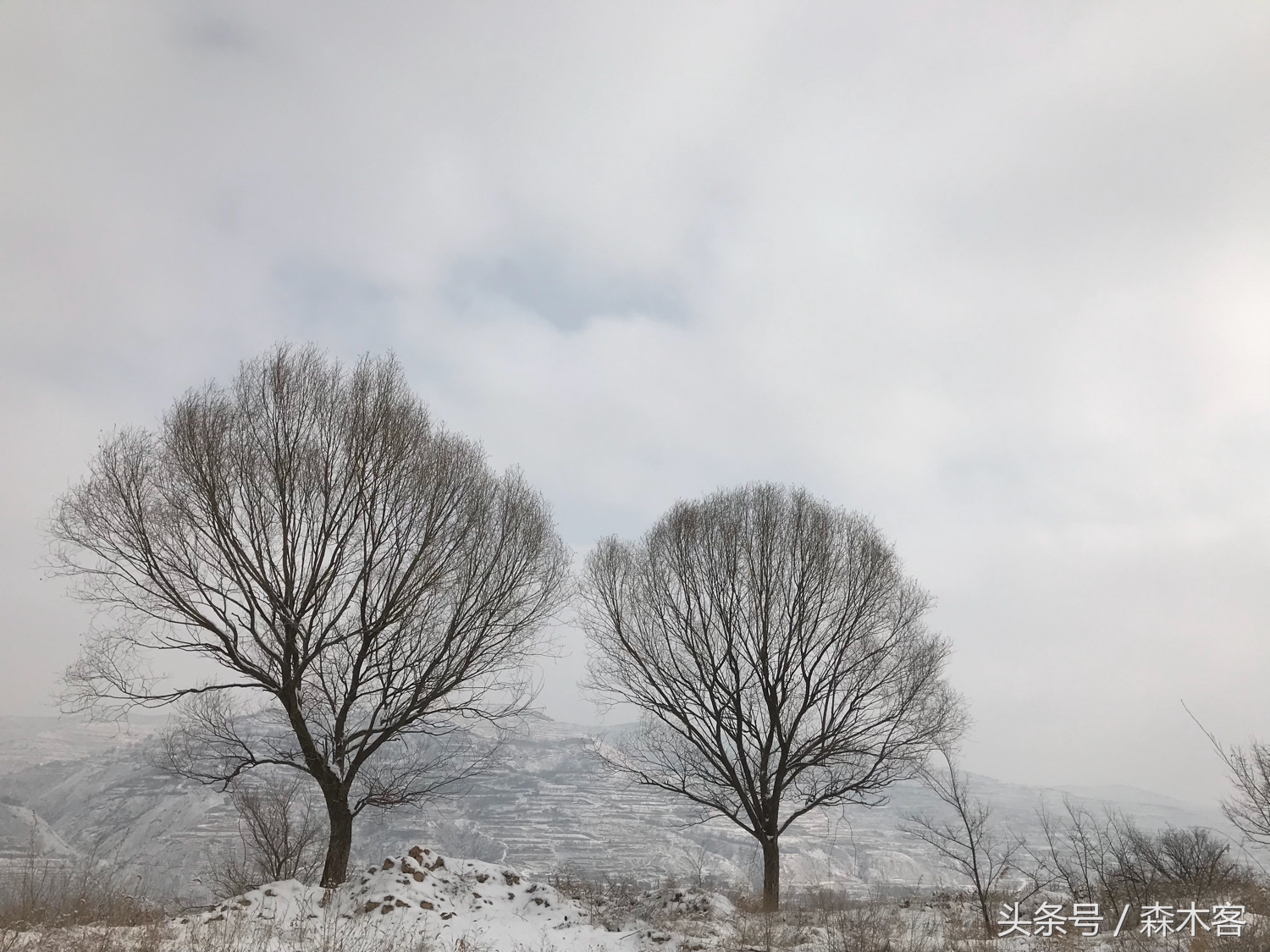 大雪后的城市美得一踏糊涂那么大雪后的西部高原是怎么样的呢