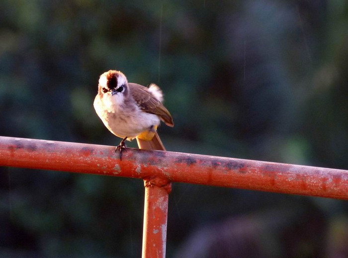 长滩之旅分享篇,长滩旅游行程