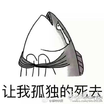 新闻龙门阵｜遭泼狗血！这个新郎太惨了，我宁愿单身到老