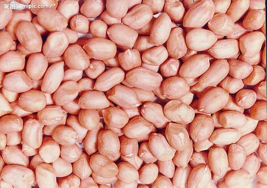 香酥不腻根本停不下来花生酥,好吃的花生酥你有没有吃过呢