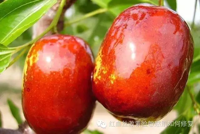 眼睛红有血丝吃什么消炎药,吃什么可以修复红血丝