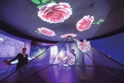 世界首座月季博物馆,月季主题公园月季博物馆