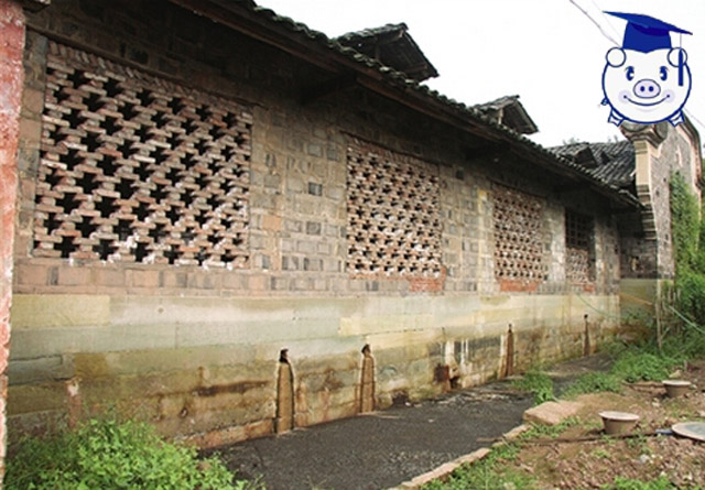 山泉水藏香猪散养基地猪舍建设,现代化散养户猪舍怎么建