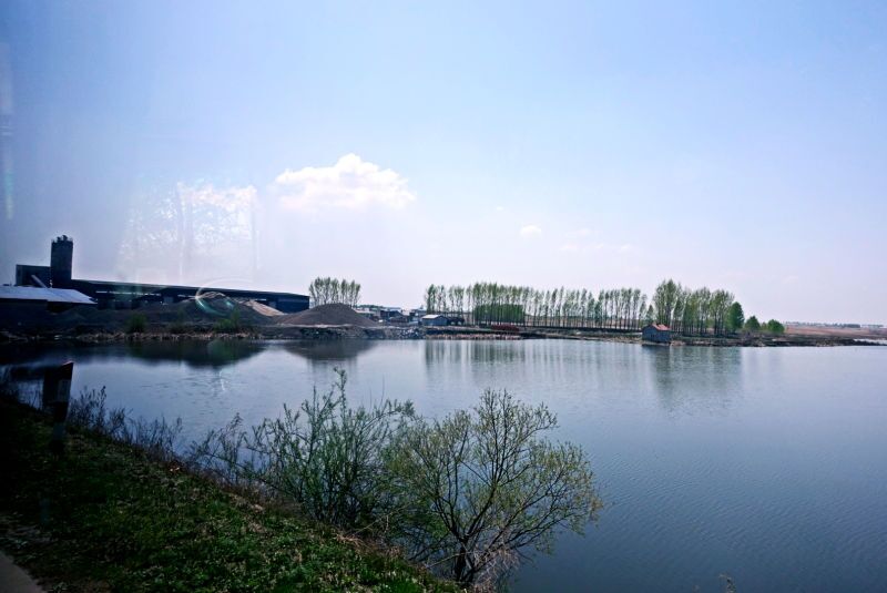 真正的五常大米有哪些,真正的五常大米香吗