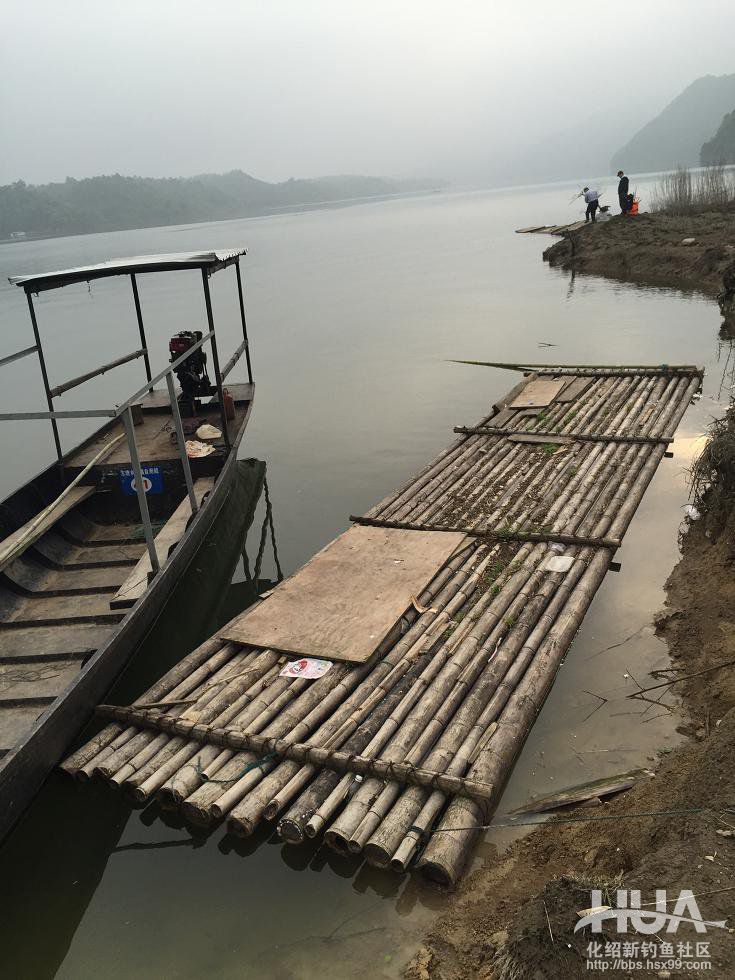 青龙湾附近野钓,株洲青龙湾野钓