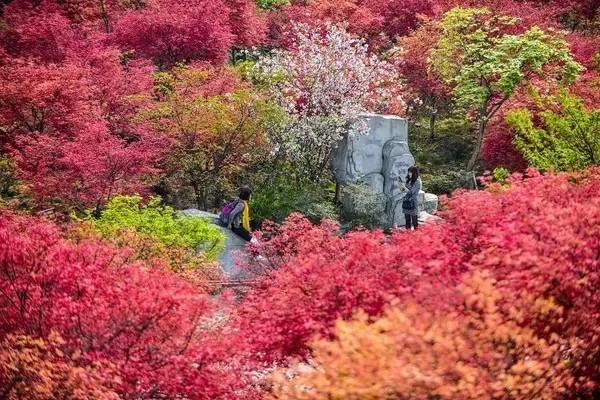 春节重庆免费景点大全,重庆自驾免费景点