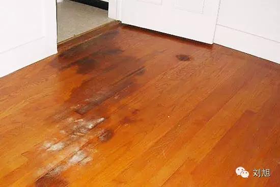 刘叫兽,刘叫兽原创视频