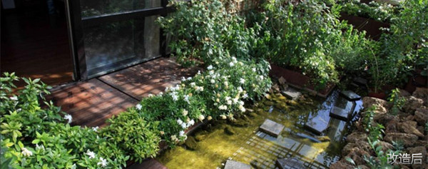 城市双修的缺点,什么是城市双修