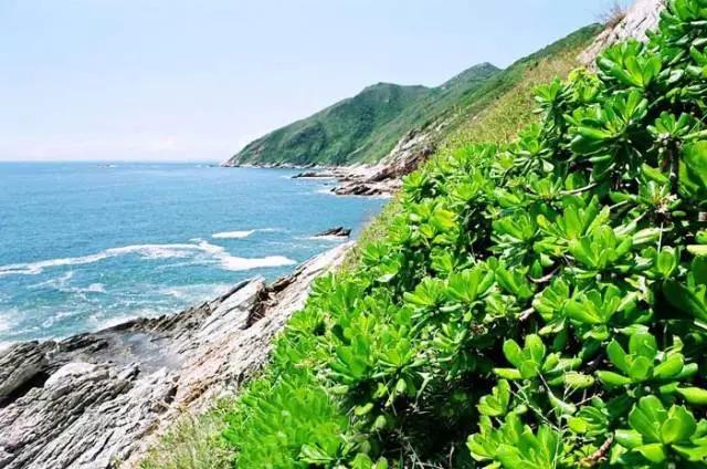 夏季深圳适合去玩的地方,深圳适合周末去玩的地方