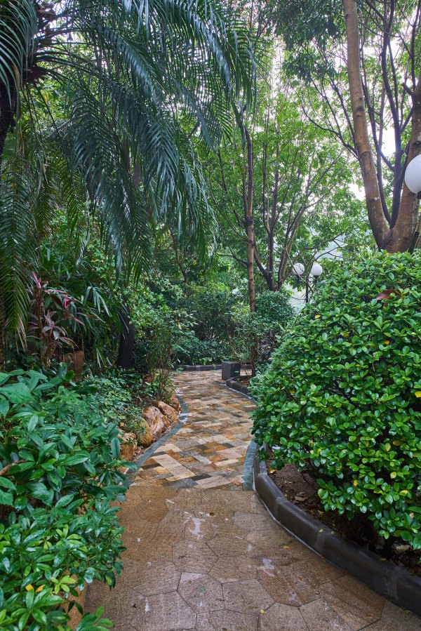 从化温泉之旅,从化文轩苑温泉攻略