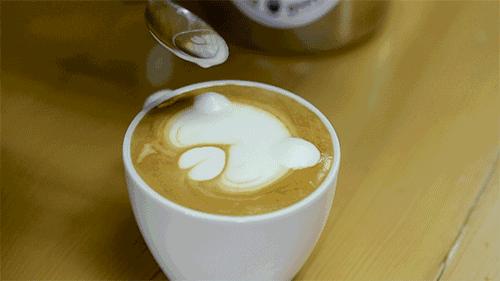 黄小厨说：一杯好咖啡既需要套路又需要真诚～