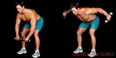 胸肌训练手臂肌肉,上胸肌和下胸肌怎么训练