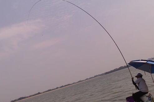 水库冬天钓青鱼用什么饵料,水库钓青鱼最好的方法