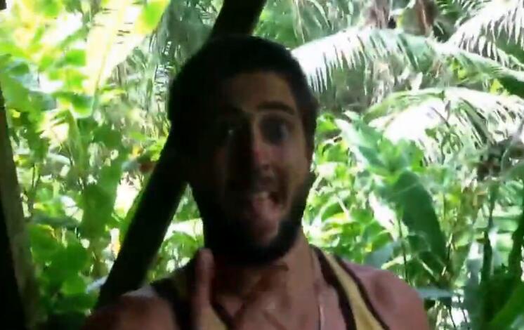 蟒蛇缠住猫,猫被蟒蛇缠住