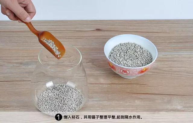 苔藓盆栽制作方法,苔藓植物盆栽制作