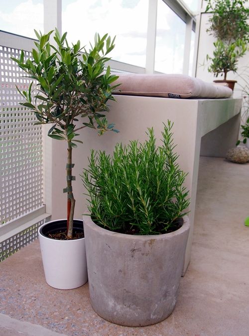 性冷淡风最好的方法,性冷淡风如何用药