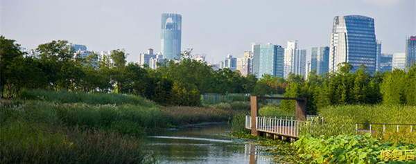 城市双修的缺点,什么是城市双修