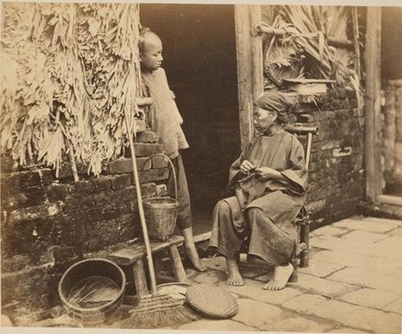 三鞭参茸固本丸功效与作用禁忌,同仁堂固本丸