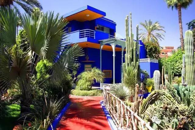 LP年度最佳三毛最爱北非后花园摩洛哥免签啦！