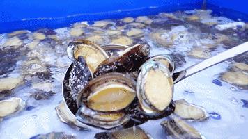 京城最贵海鲜自助餐厅,京城最过瘾的自助餐