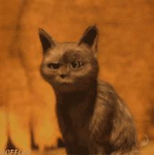 黑客无节操评比：替换矿工的收款二维码VS搞瘫路由器的“爱国者”