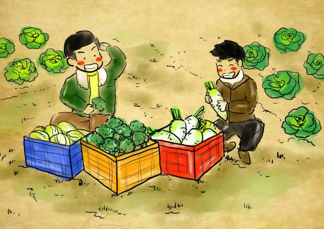 新农村日记｜QQ农场主孙健：这儿有令人向往的田园生活