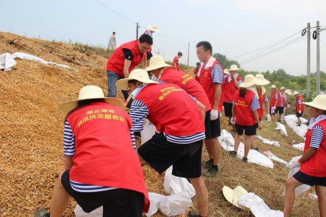 青马是什么马图片,大青马和一般的马