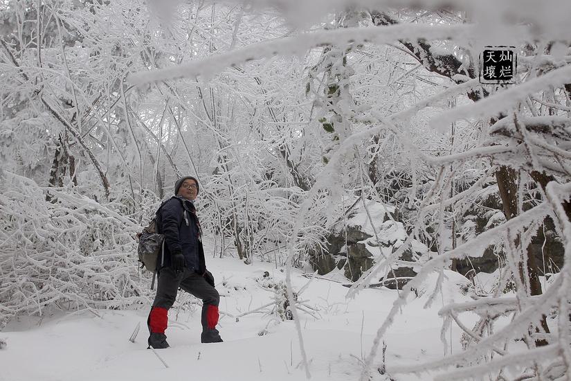赏雪何须去北国,赏雪不用去远方